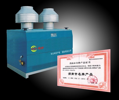 范德力鍋爐廠家